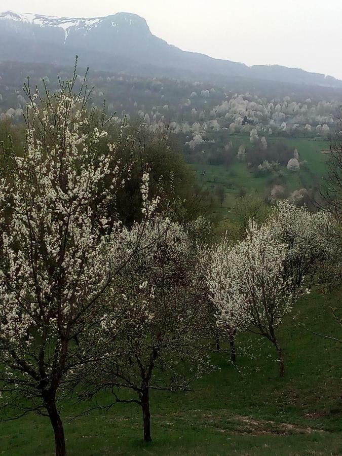 Complex Traditional Casuta Bunicilor-Breb Екстериор снимка