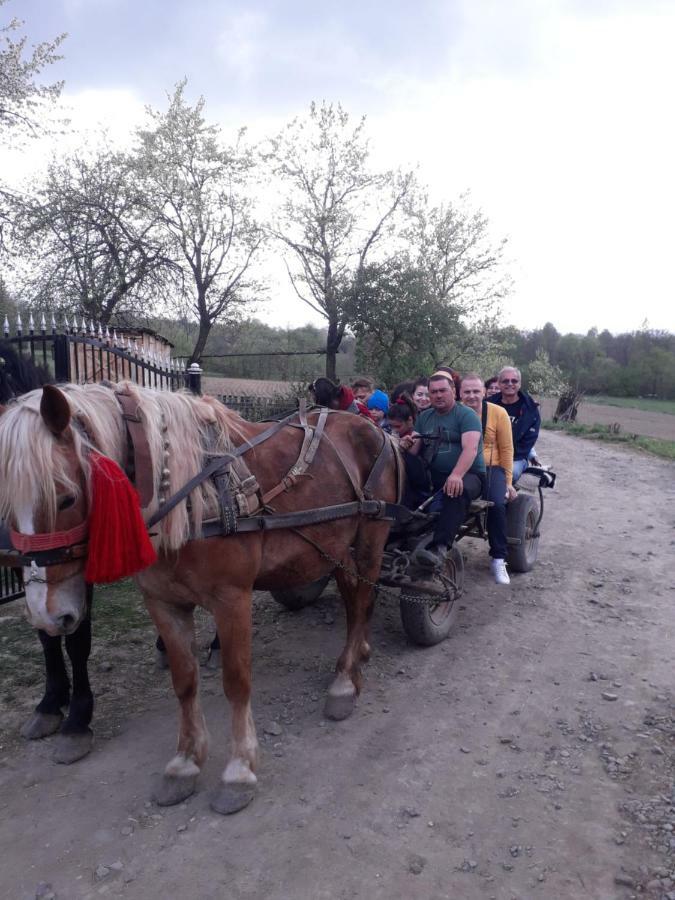 Complex Traditional Casuta Bunicilor-Breb Екстериор снимка